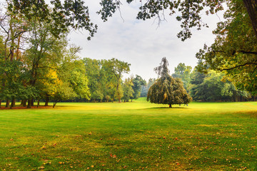 Monza park. Italy