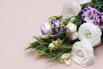 Fresh flowers frame on pink background. White and purple eustomas