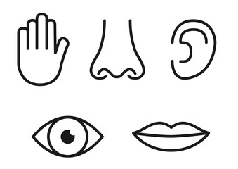 Outline icon set of five human senses: vision (eye), smell (nose), hearing (ear), touch (hand), taste (mouth with tongue)