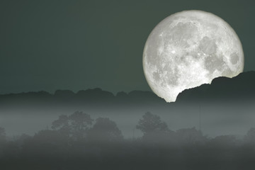 Fototapeta na wymiar fish moon back on cloud and fog on mountain night sky