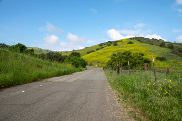 Hiking through the Limestone Canyon Regional Park after a rainy season