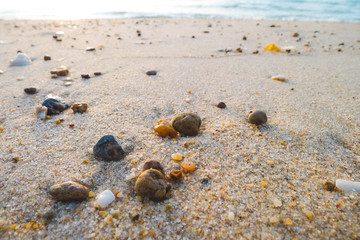 Sand background with little stones in morning.,Sandy texture with stones. ,copy space.
