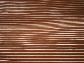 texture of cardboard background