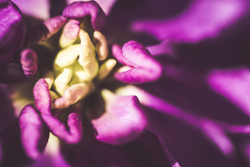 ストック / Stock