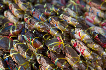 Fresh crabs prepare to sell on street food market