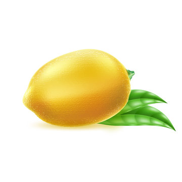 Vector realistic yellow lemon fruit with leaf