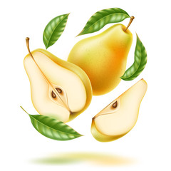 Vector realistic fresh pear with leaf green fruit