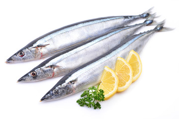 Saury fish on white background