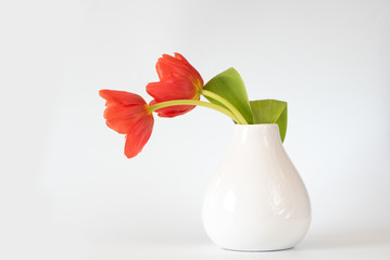 Tulpen 