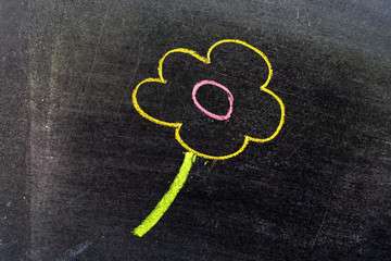 Fototapeta na wymiar Color chalk drawing in blooming flower shape on blackboard background
