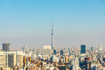 Aerial view of Tokyo city sky line.