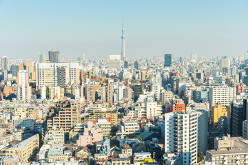 Fototapeta na wymiar Aerial view of Tokyo city sky line.
