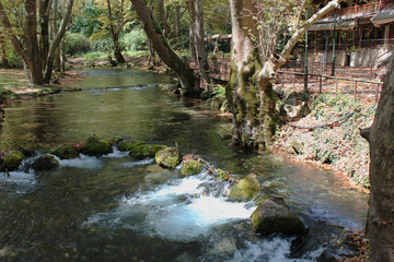 Agios Nikolaos Park Naousa Greece Europe