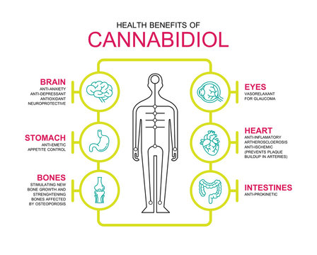 health benefits of cannabinol in body 