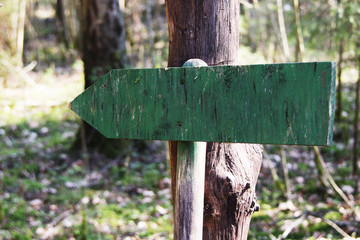wooden blank sign in forest
