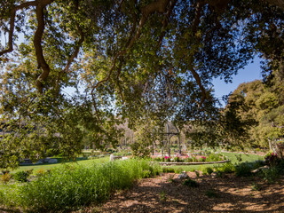 Beautiful garden of Descanso Garden