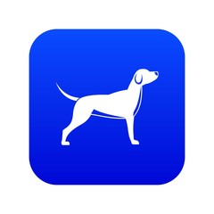Dog icon digital blue for any design isolated on white vector illustration
