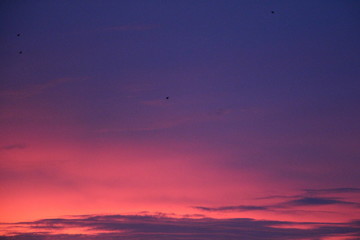sunset in the sky