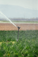 Irrigation plant system on a field, agriculture and plants