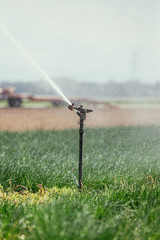 Irrigation plant system on a field, agriculture and plants