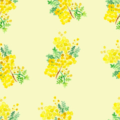 herbs, watercolor, green, yellow, flowers, plants, spices, tansy, Mimosa, useful, acacia, field, pharmacy, tea leaves, spring, air, summer, white,acacia, abstract, white background, St. John's wort, a