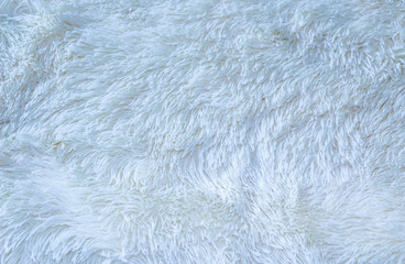 Fluffy texture of  fur for background, design.