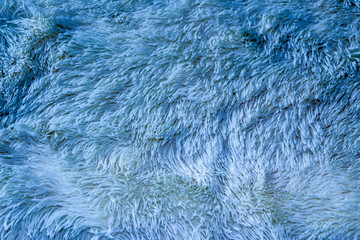 Fluffy texture of  fur for background, design.