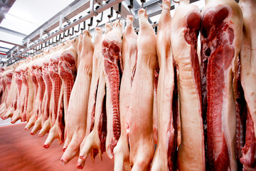 Close up a lot of chopped raw pork meat hanging and arrange and processing deposit in a refrigerator, in a meat factory.