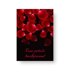 Cover of the catalog with bright red rose petals for a loving design