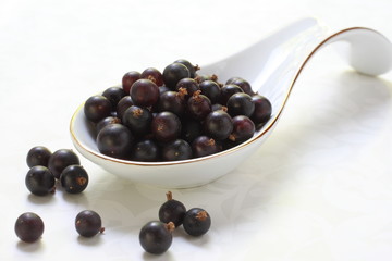 Berry black currant. Tasty healthy sweet plant on a white background