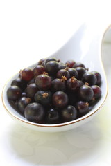 Berry black currant. Tasty healthy sweet plant on a white background. 