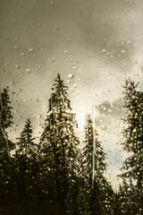 Beautiful view of fir trees from a cabin window in the mountains, covered in rain drops, and rain clouds in summer