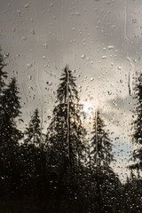 Beautiful view of fir trees from a cabin window in the mountains, covered in rain drops, and rain clouds in summer