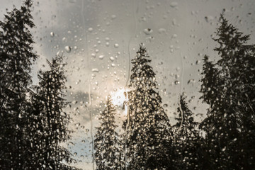 Beautiful view of fir trees from a cabin window in the mountains, covered in rain drops, and rain clouds in summer