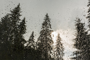 Beautiful view of fir trees from a cabin window in the mountains, covered in rain drops, and rain clouds in summer