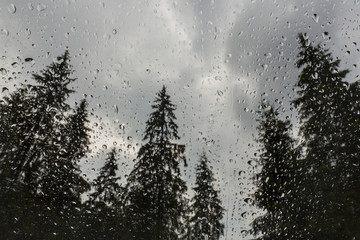 Beautiful view of fir trees from a cabin window in the mountains, covered in rain drops, and rain clouds in summer