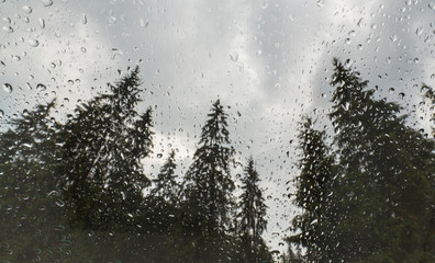 Beautiful view of fir trees from a cabin window in the mountains, covered in rain drops, and rain clouds in summer