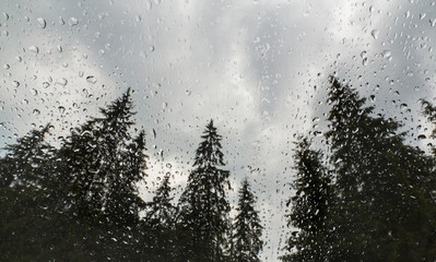 Beautiful view of fir trees from a cabin window in the mountains, covered in rain drops, and rain clouds in summer