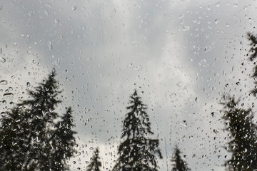 Beautiful view of fir trees from a cabin window in the mountains, covered in rain drops, and rain clouds in summer