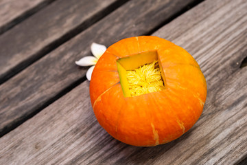 Japanese pumpkin on wood background