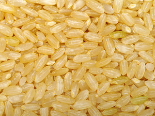 Background of short grain brown rice