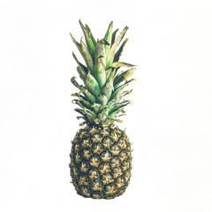 Fototapeta premium Whole Pineapple on white background