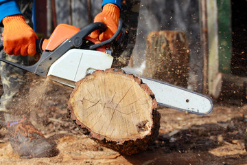 electric saw in the hands of a man and log