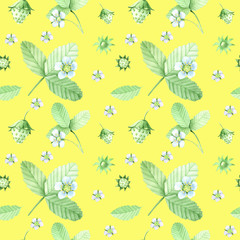 Sweet summer berries