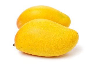 Mango on white background