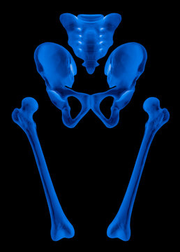 Separate Human bones of Hip and Lower limb- Healthcare-  X ray blue film-Human Anatomy and Medical concept-Isolated on black background.