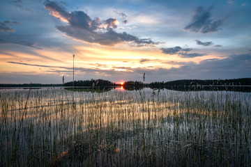 Obraz premium Reeds foreground with beautiful sunset lake reflection Sweden