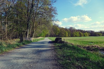 fr&uuml;hlinsspaziergang am waldrand 