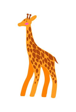 Vector illustration of a giraffe isolated on white