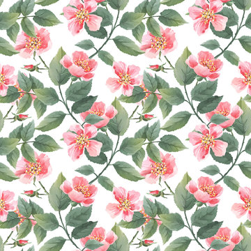 Wild roses watercolor seamless pattern